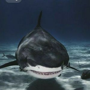 Meet your Posher, Tami